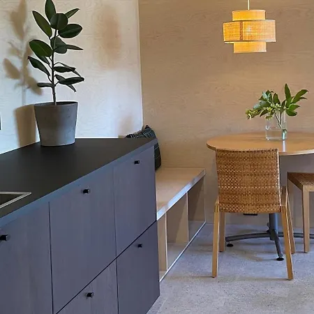 Newly Renovated By The Sea 公寓 *